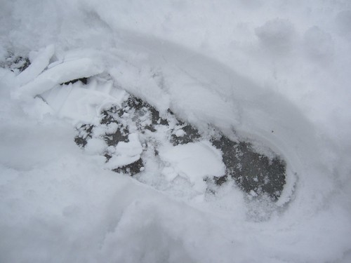 雪の下は氷   2012.2.14 by Poran111