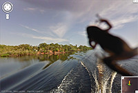 Spot a critter while cruising down the Amazon river.