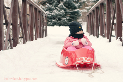 lilly on sled blog