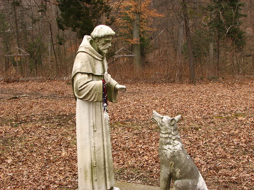 St Francis and the Very Bad Dog by paynehollow