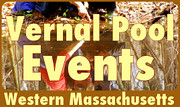 Venal Pool Events in Western MA