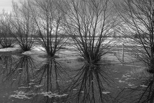 Field Reflections 1