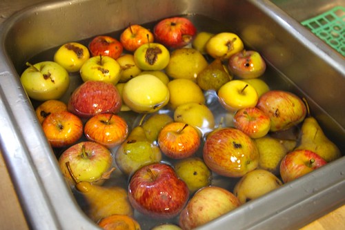 Washing Apples & Pears