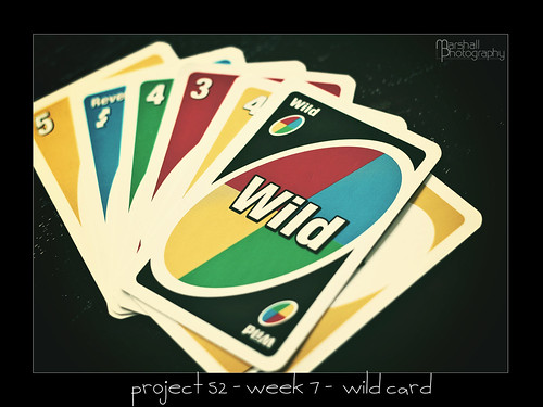 Project 52 - Week 7 - Wild Card