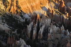 Bryce Canyon NP -- 2012
