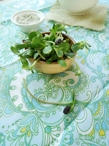 Droasted garden radish salad