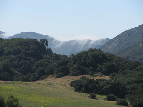 mist creeps over the mountain