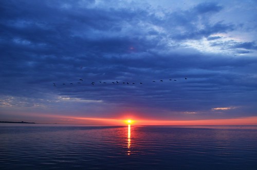 無料写真素材|自然風景|朝焼け・夕焼け|雲|水平線|風景カナダ