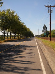 A scenic view on the Barlow Road