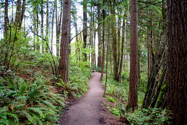 Inside Washington Park - Portland, Oregon