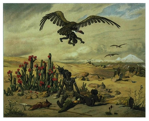 013-El Ganimides de los tropicos-Afrika  Studien und Einfaelle eines Malers 1895- Hans Richard von Volkmann- Universitätsbibliotheken Oldenburg