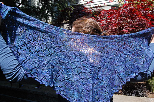 Orchid Theif Shawlette