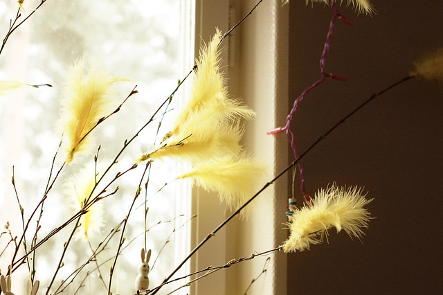 Yellow feathers
