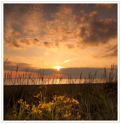 Sunset &nbsp;With Flowers - Allonby