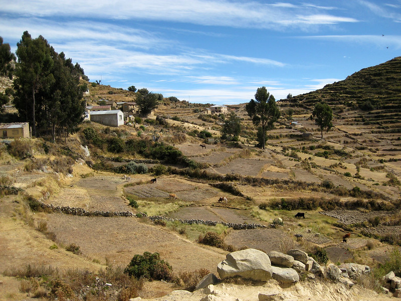 Farm terraces on Isla Del Sol - Lake Titicaca - Bolivia