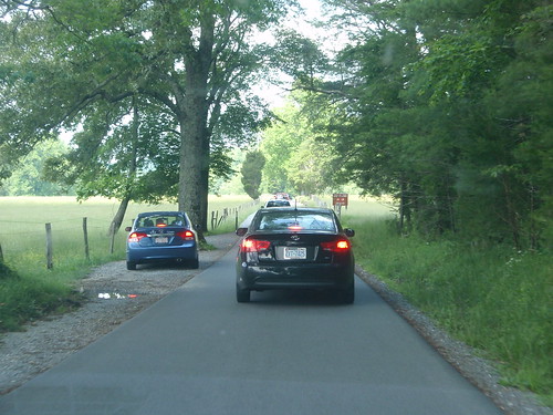 driving in cade's cove