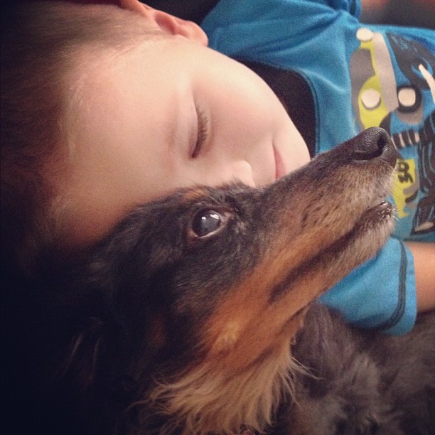A boy and his #dog