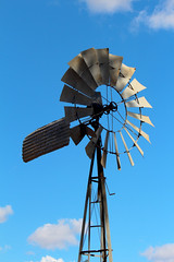 windmills & farms