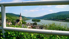 Rheingau Area, Germany