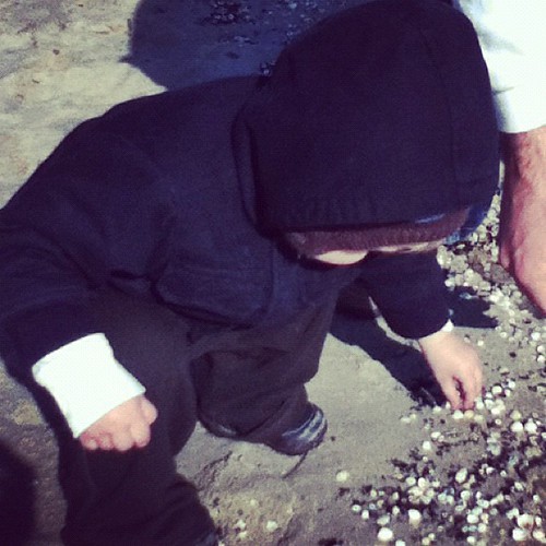 Collecting shells.