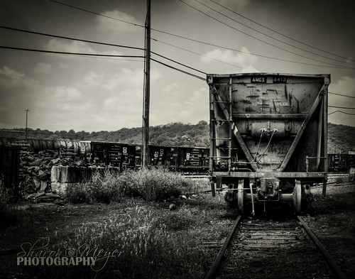 Railcar by Sharon Meyer