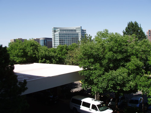 View from the Marriott Tech Center, Denver, CO June 2012 by suzipaw