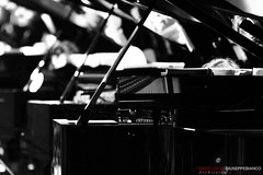 LIVE | Piano Twelve 