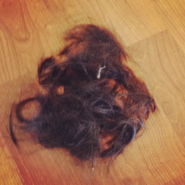 The second round of hair they had to sweep up...