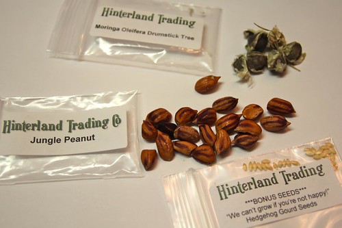Hinderland Trading Seeds