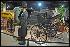 Horse-drawn carriages and buggies