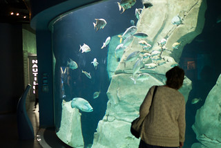 Meet the aquatic beasts at Istanbul Akvaryum - Things to do in Istanbul