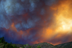 Gila National Forest Wildfire (Whitewater -Baldy Fire)