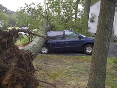 2005-07-28 Storm Damage & Look What I Found in My Gmail from Seven Years Ago