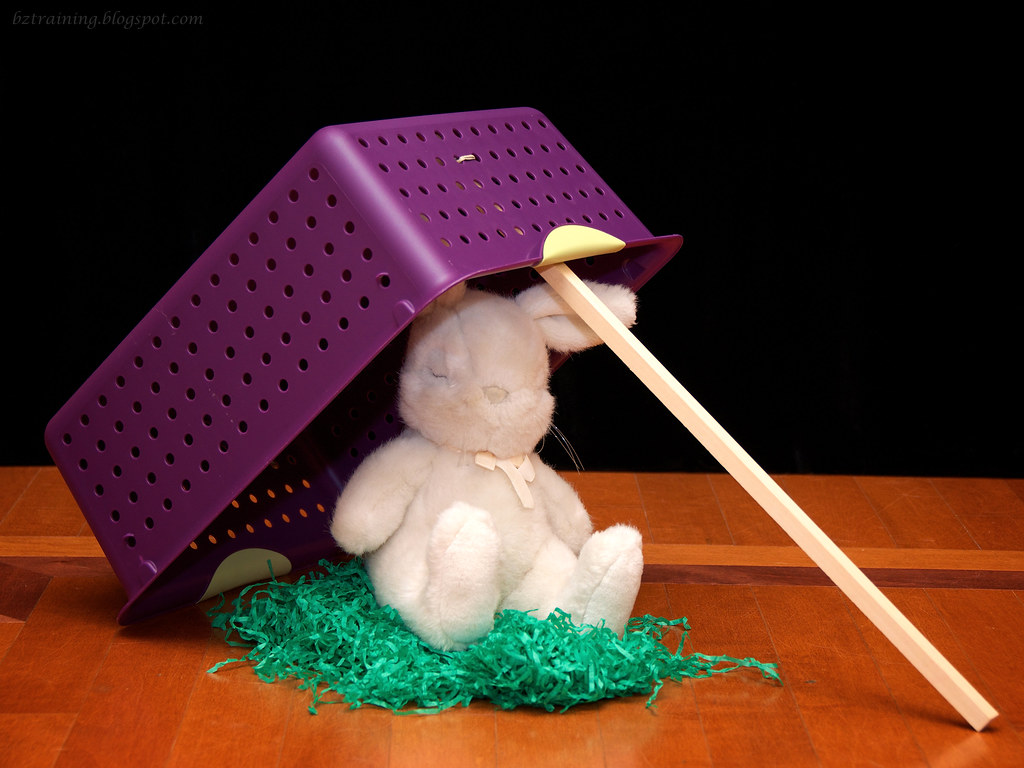 Easter Bunny Trap