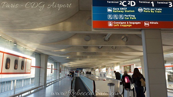 Paris - CDG Airport  (39)