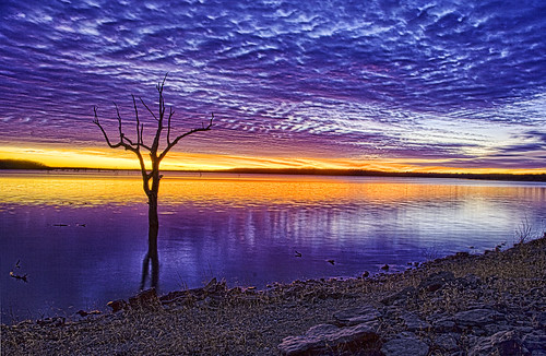 無料写真素材|自然風景|河川・湖|樹木|朝焼け・夕焼け|風景アメリカ合衆国