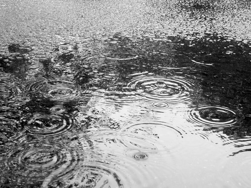 Raindrops on Water