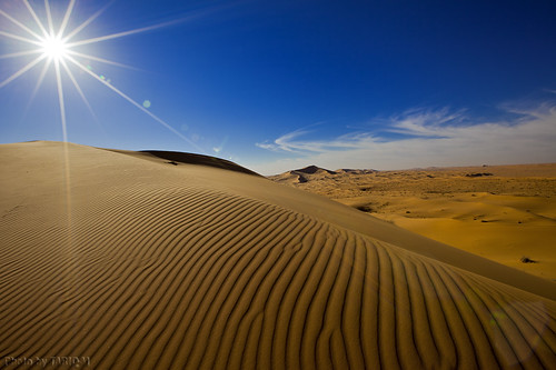 The Desert - Explore