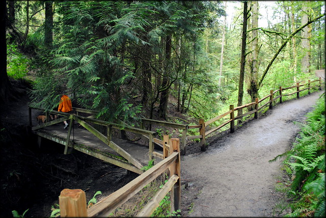 a section of the Wildwood Trail in the Hoyt Arboretum - Portland, Oregon