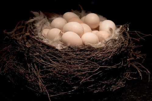Nest Egg Basket