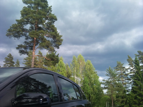 Car and tree by XPeria2Day