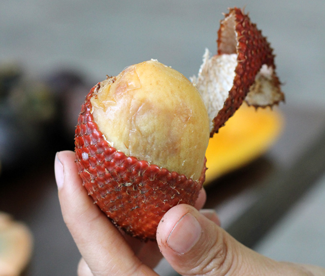 Nicely acidic snakefruit
