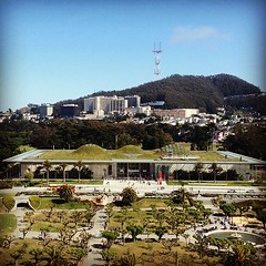 Cal Academy of Science (with added bonus Space Claw)