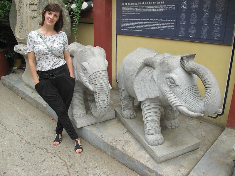 Elephant and I