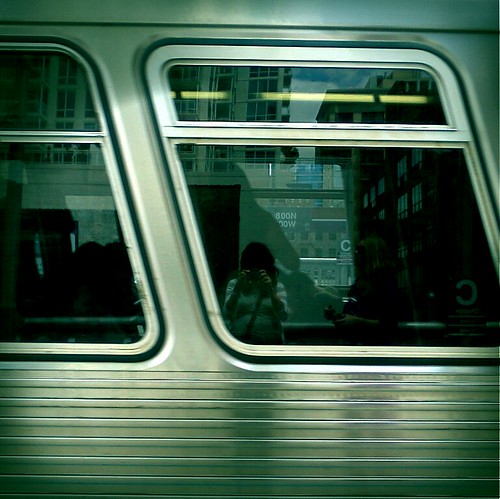 the brown line