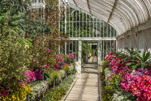 The Botanic Gardens In Belfast by infomatique