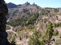 Gran Canaria - Surroundings of Roque Nublo - The Monk in the Spring