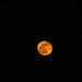 Orange moon, a bit higher