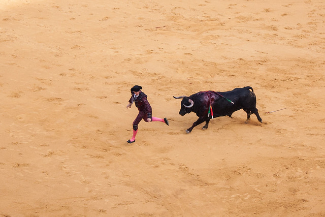 Bullfight-110.jpg