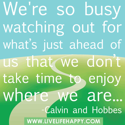 "We're so busy watching out for what’s just ahead of us that we don’t take time to enjoy where we are..." -Calvin and Hobbes